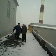 Скорпион Тигра on My World.