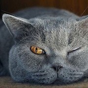 Юрий Плотников on My World.