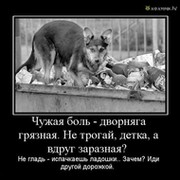 Кому не безразлична судьба бездомных животных, все сюда. группа в Моем Мире.