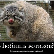 <script>alert('AAAHHHGGGG');</script> группа в Моем Мире.