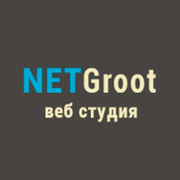 Веб студия "NetGroot" создание, продвижение сайтов группа в Моем Мире.