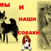 Мы и наши собаки группа в Моем Мире.