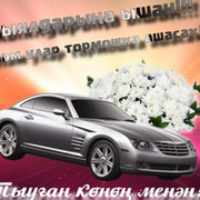 Марьям Асадуллина on My World.