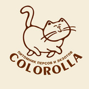 Colorolla Cattery on My World.