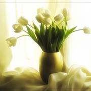 Лиса ))) on My World.