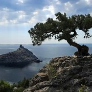 Эльмира Шамсуллина on My World.