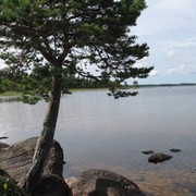 Людмила Бесфамильная on My World.