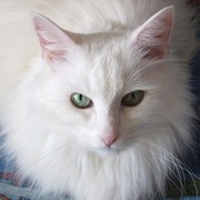Татуля ***** on My World.