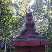 александр маринин on My World.