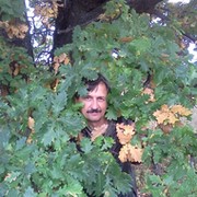 Алексей Бородин в Моем Мире.