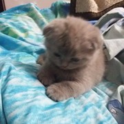 Людмила Чуклинова on My World.