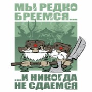 Никогда не брейте. Мы редко бреемся и никогда не сдаемся. Мы редко бреемся и никогда не сдаемся картинка. Мы редко бреемся и никогда не сдаемся Шеврон. Мы не сдаемся.