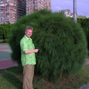 Дмитрий Казанский on My World.