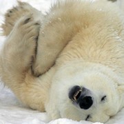 Д Х on My World.