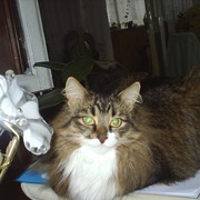 Soja Danilova on My World.