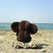 наталья захарова on My World.