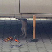 Дмитрий Рева on My World.