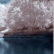 Варвара Капустина on My World.