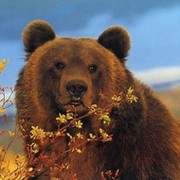 Михаил Борисенко on My World.