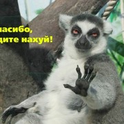 Наталья Глубоковская on My World.