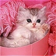 Наталья Гусева on My World.