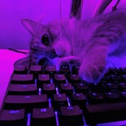 игра 3 on My World.