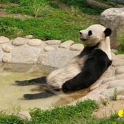 Нозим Кодиров on My World.