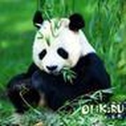 лена курникова on My World.