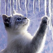 Анастасия Мещерякова on My World.