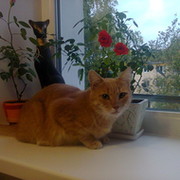 Юлия Рубина on My World.
