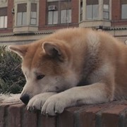 Михаи Плотников on My World.