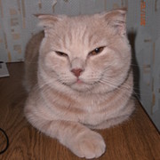 Наталья Филипских on My World.