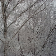 Галина Рыжкова on My World.