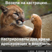 антон панов on My World.