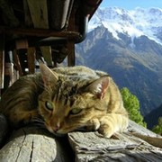 Геннадий Подгурский on My World.