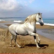 Рамиз Рахимов on My World.