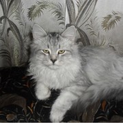 Миша Юрин on My World.