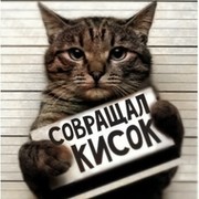 Андрей Самсонов on My World.