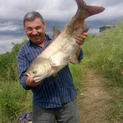 Александр Немцев on My World.