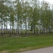 Сергей Аношин on My World.