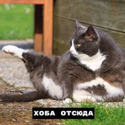 Симира Фейк on My World.