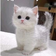 Оксана Симвулиди on My World.