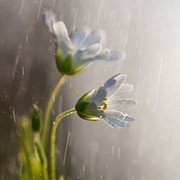 Светлана Ганьчева on My World.