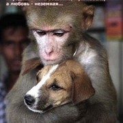 Татьяна Буйских on My World.