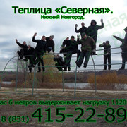 Теплица Северная on My World.