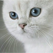 Оксана *** on My World.
